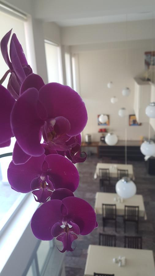 Ileri Hotel & Apartments Çeşme Extérieur photo